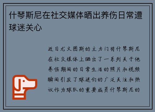 什琴斯尼在社交媒体晒出养伤日常遭球迷关心